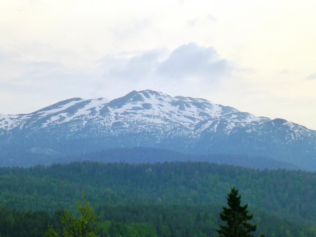 Lovheim Gjestehus Sauland Luaran gambar